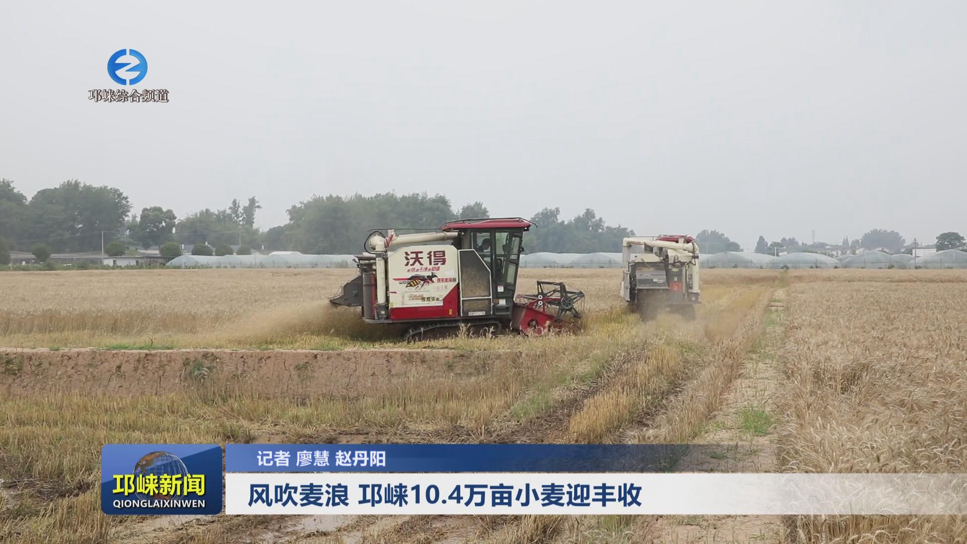 【20240510】风吹麦浪 邛崃