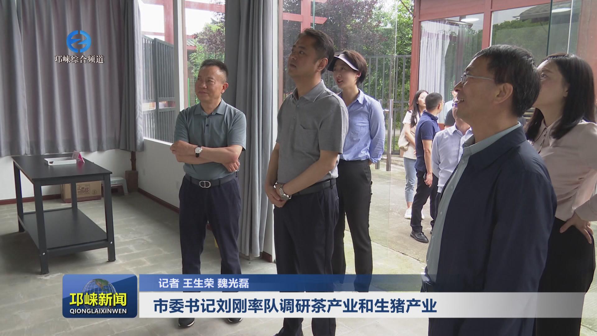 【20240510】市委书记刘刚率