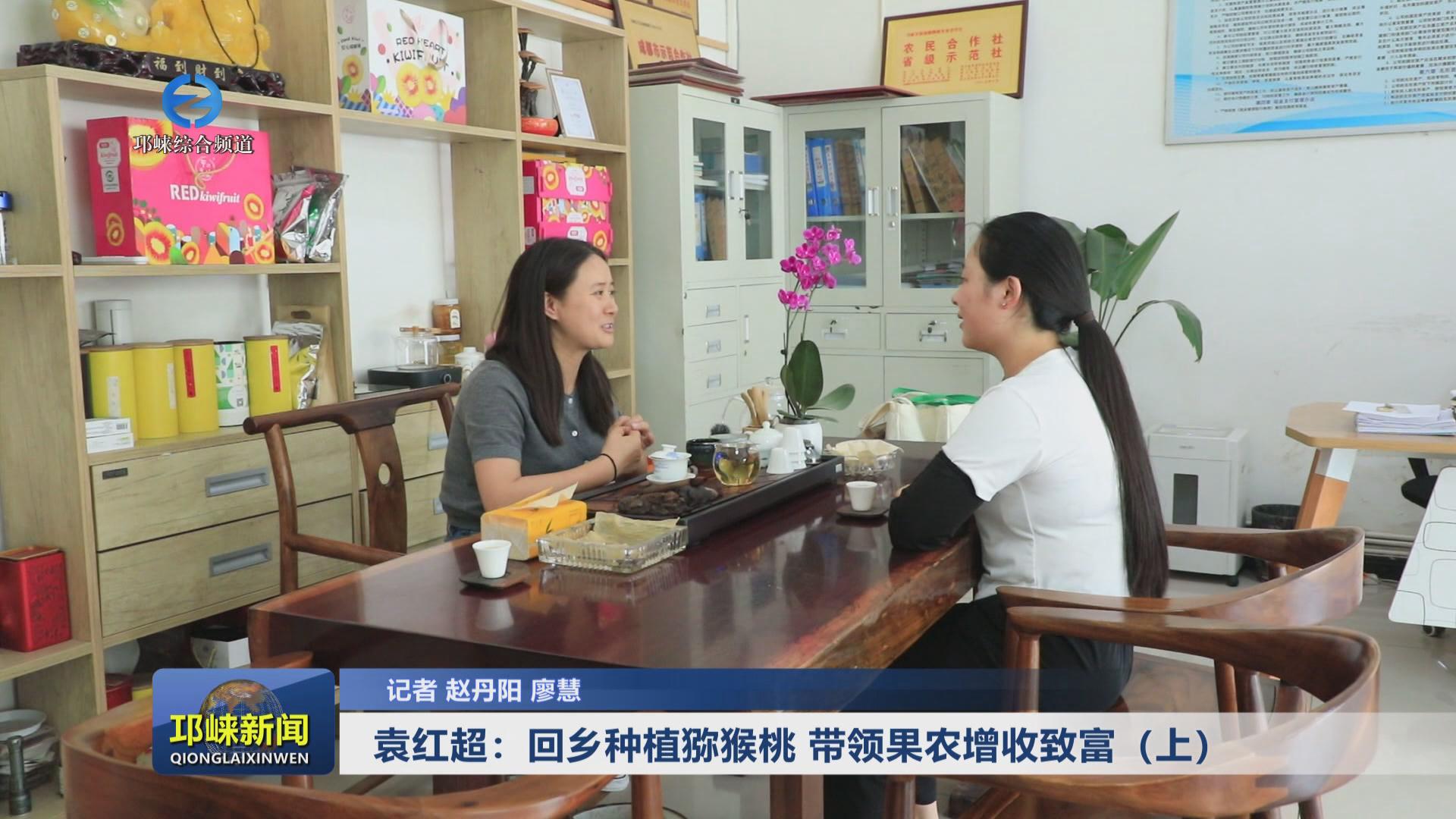 【20240522】袁红超：回乡种