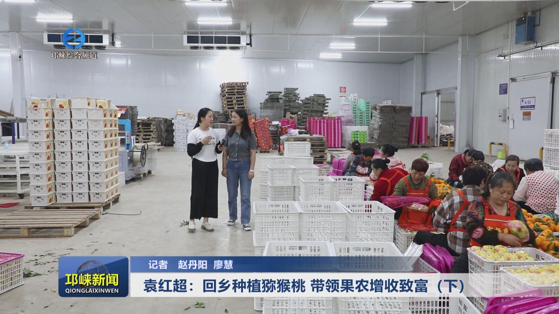 【20240523】袁红超：回乡种