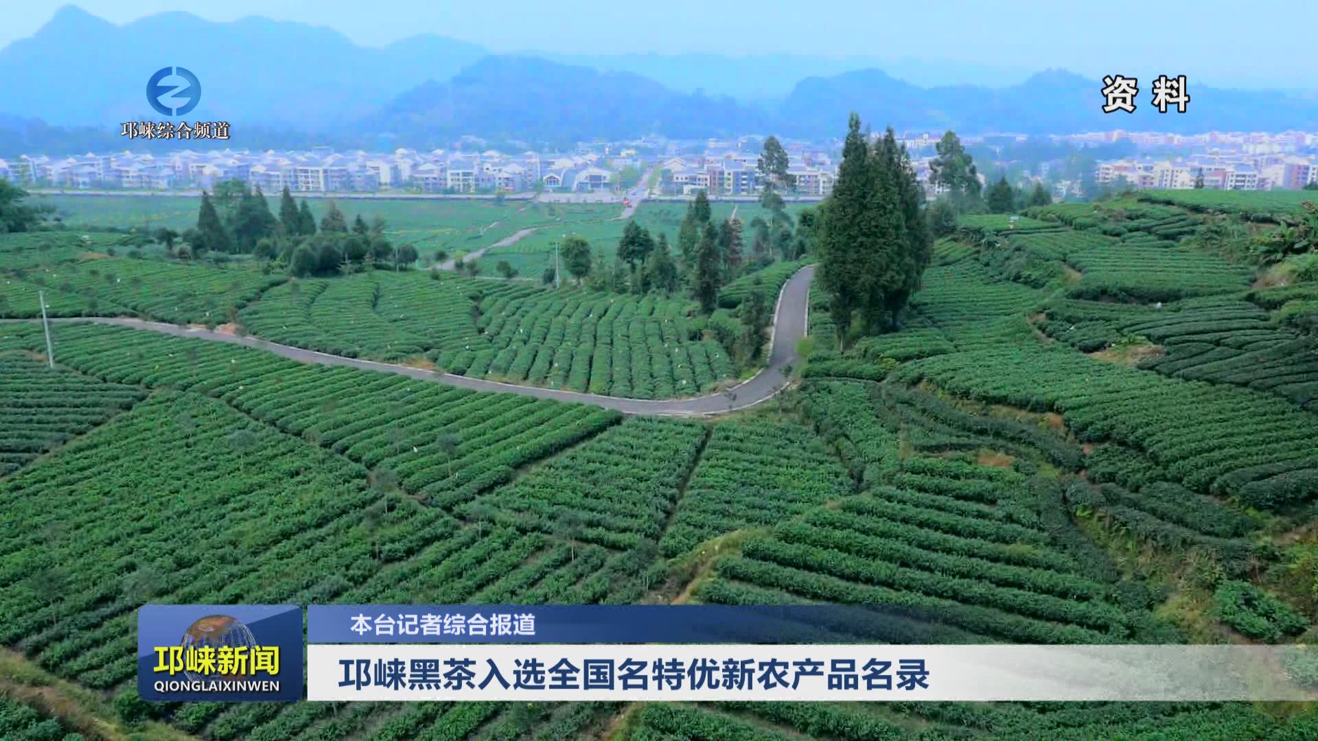 【20240523】邛崃黑茶入选全