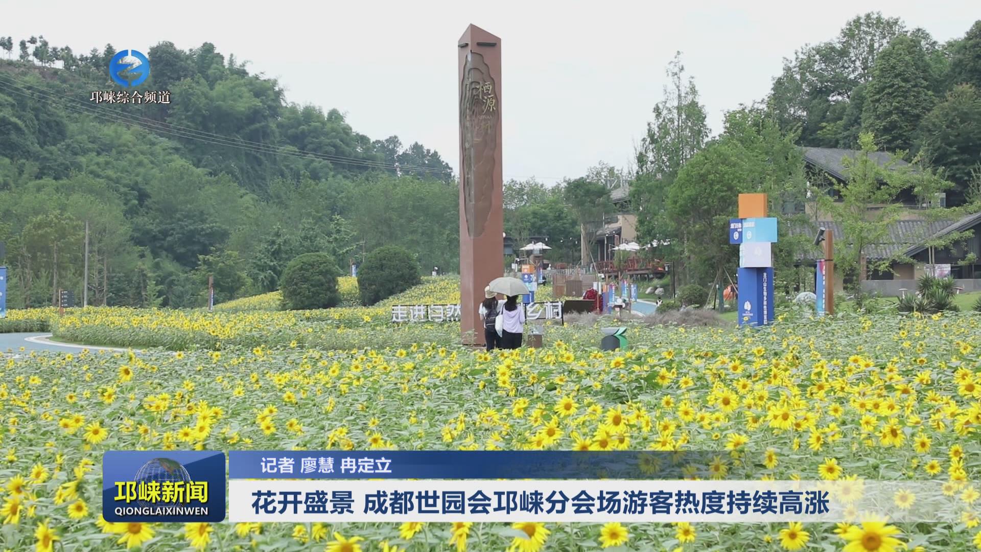 【20240605】花开盛景，成都