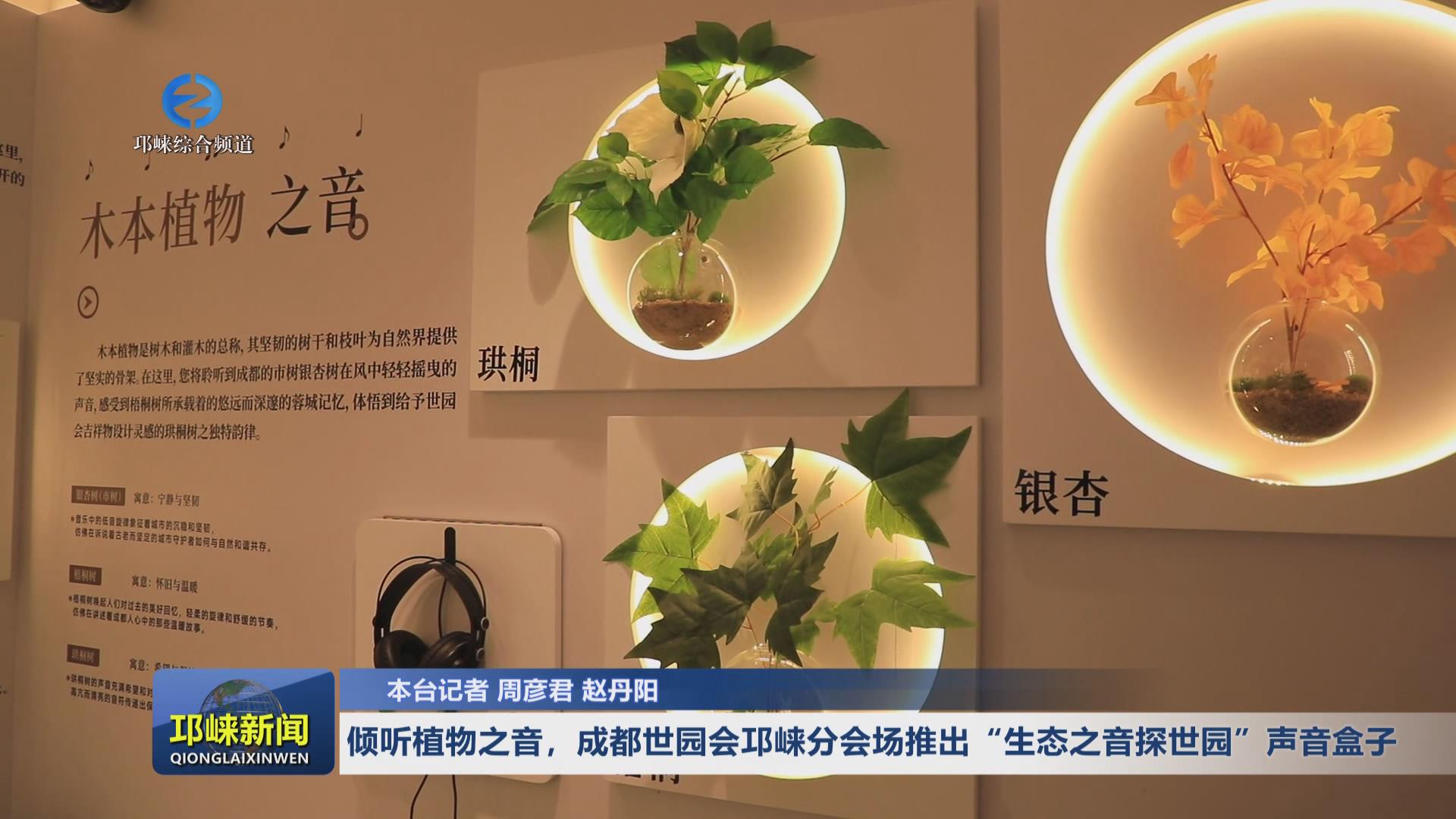 【20240704】倾听植物之音，