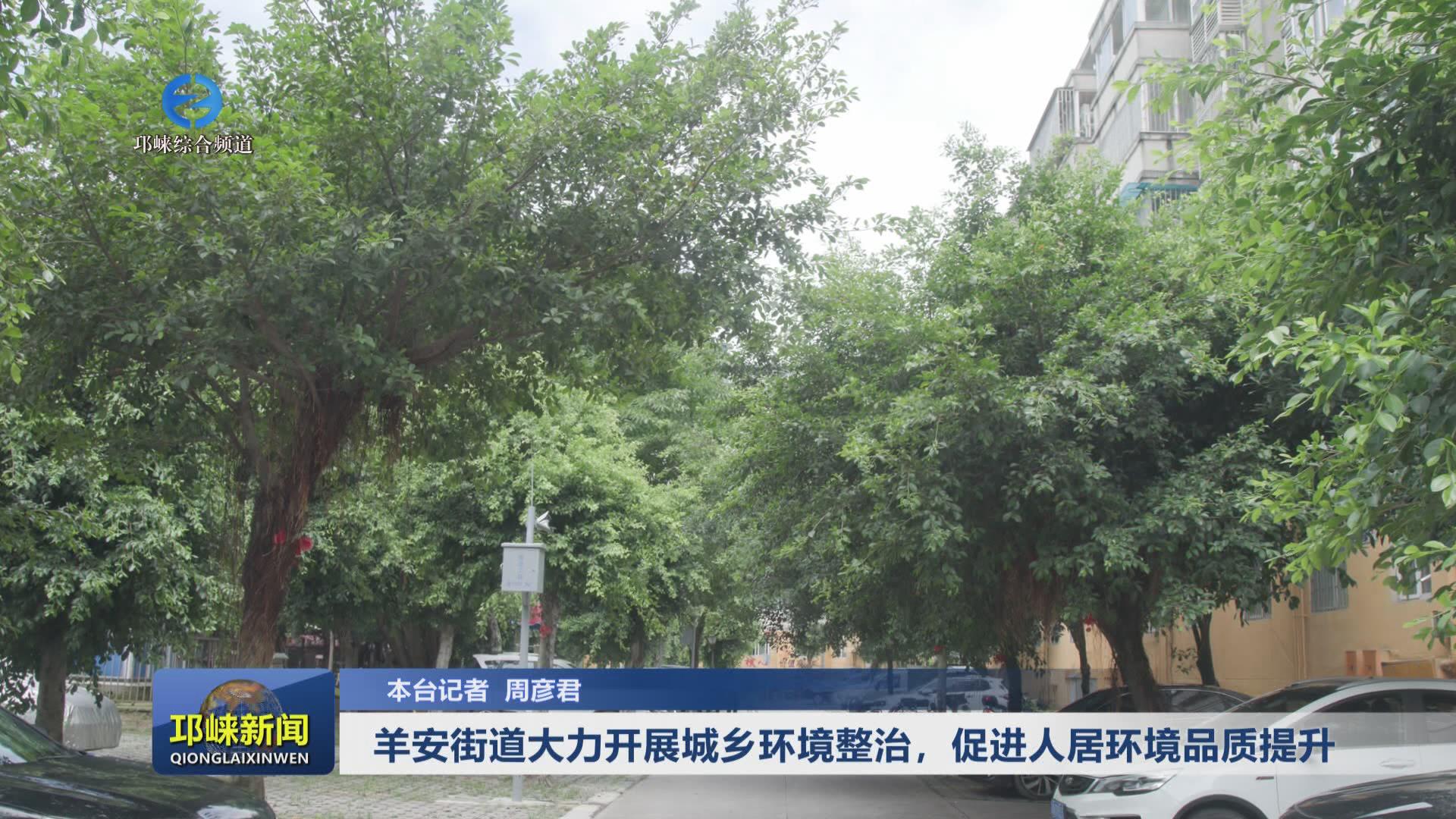【20240712】羊安街道大力开