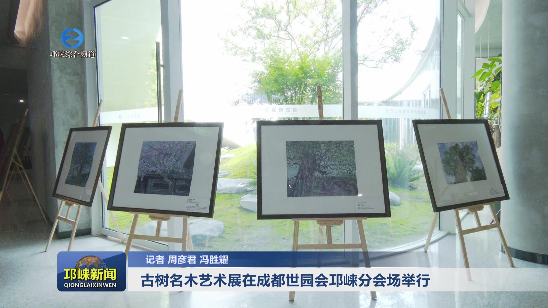 【20240827】古树名木艺术展