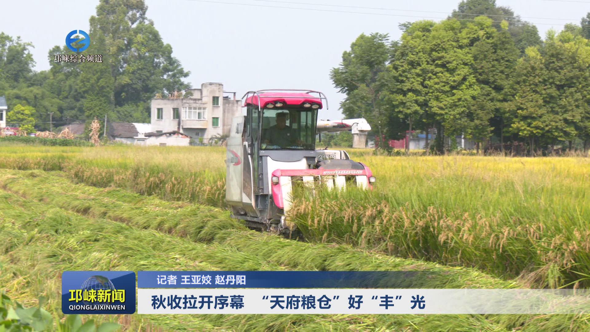 【20240828】秋收拉开序幕