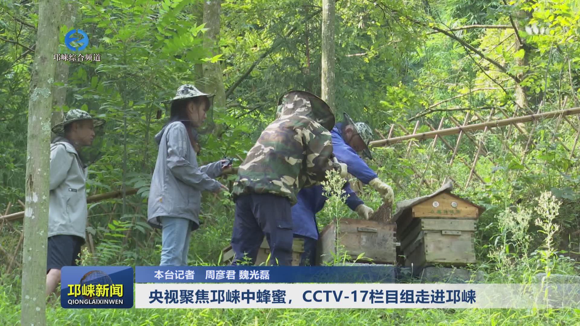 【20240912】央视聚焦邛崃中