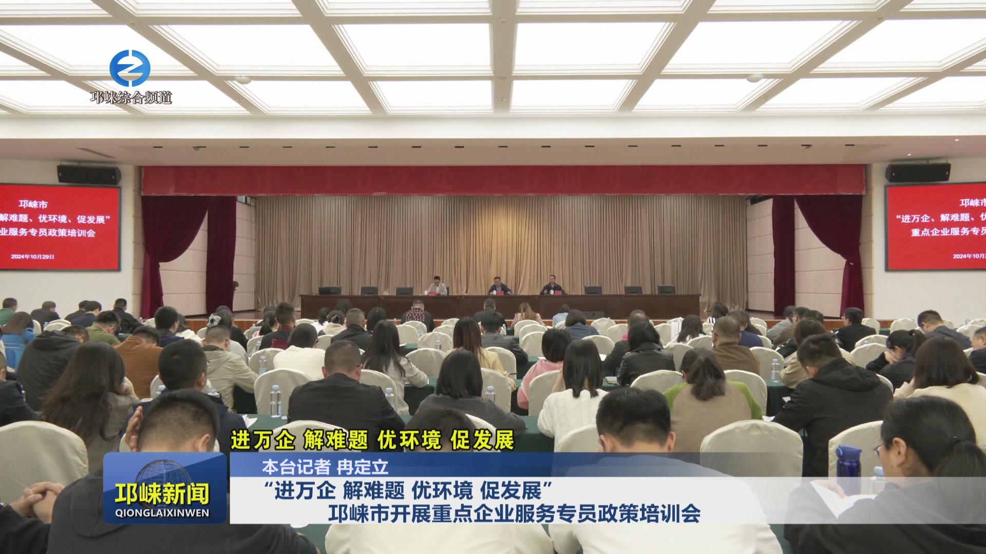 【20241030】“进万企 解难
