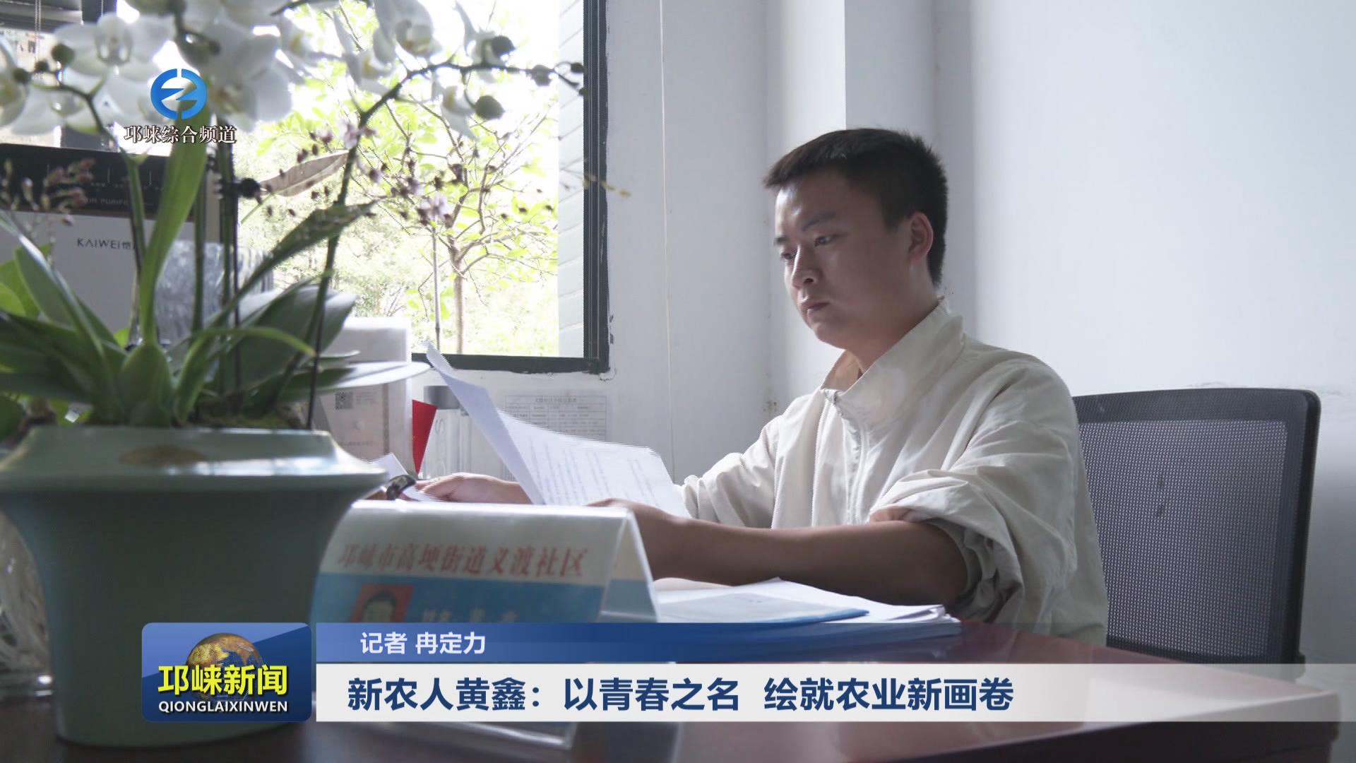 【20241113】新农人黄鑫：以
