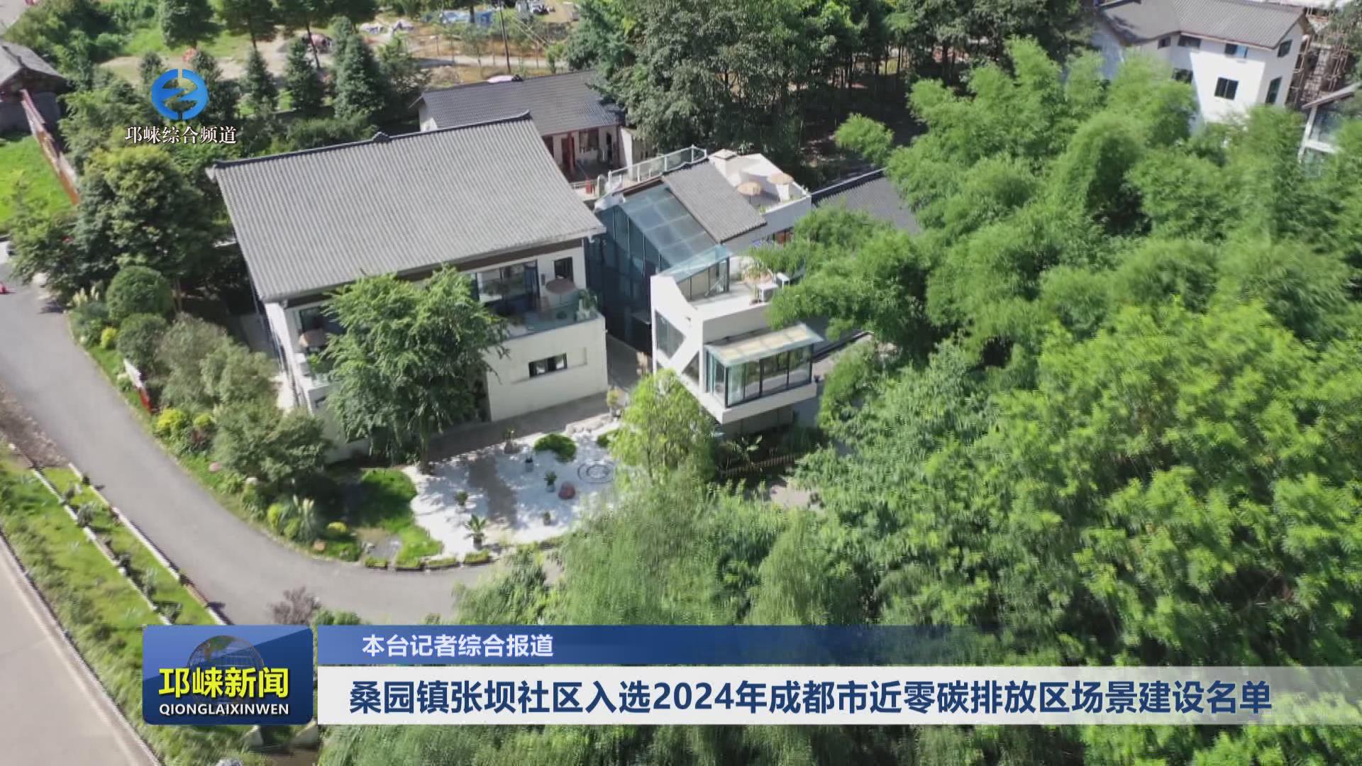 【20241122】桑园镇张坝社区