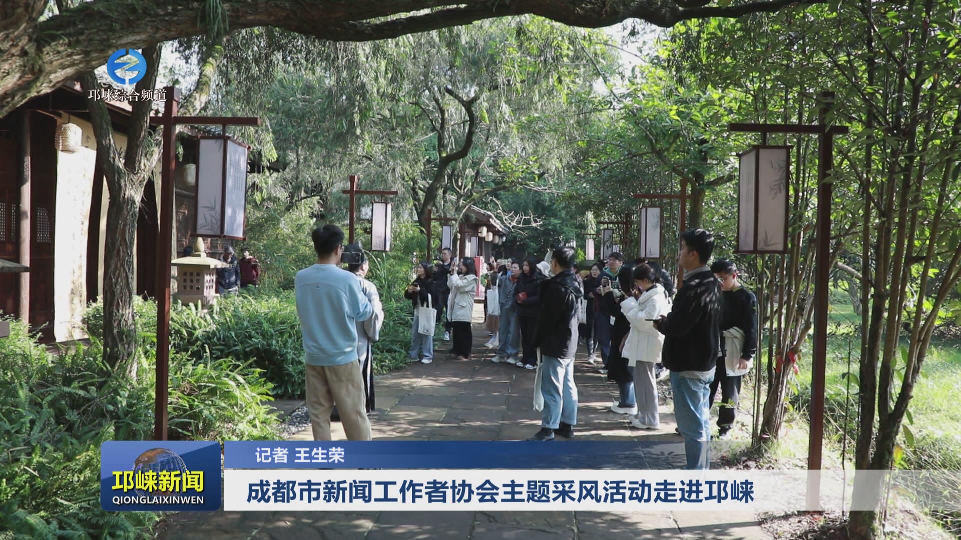 【20241125】成都市新闻工作