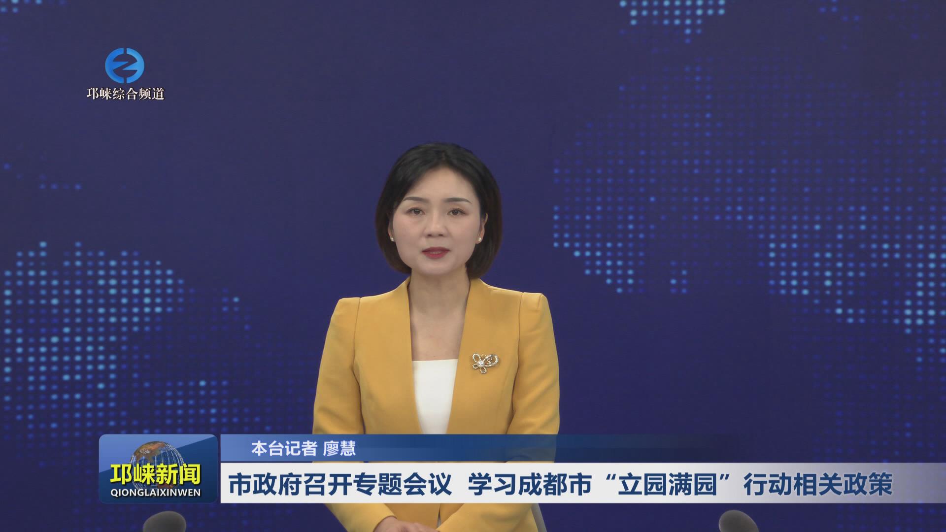 【20241206】市政府召开专题