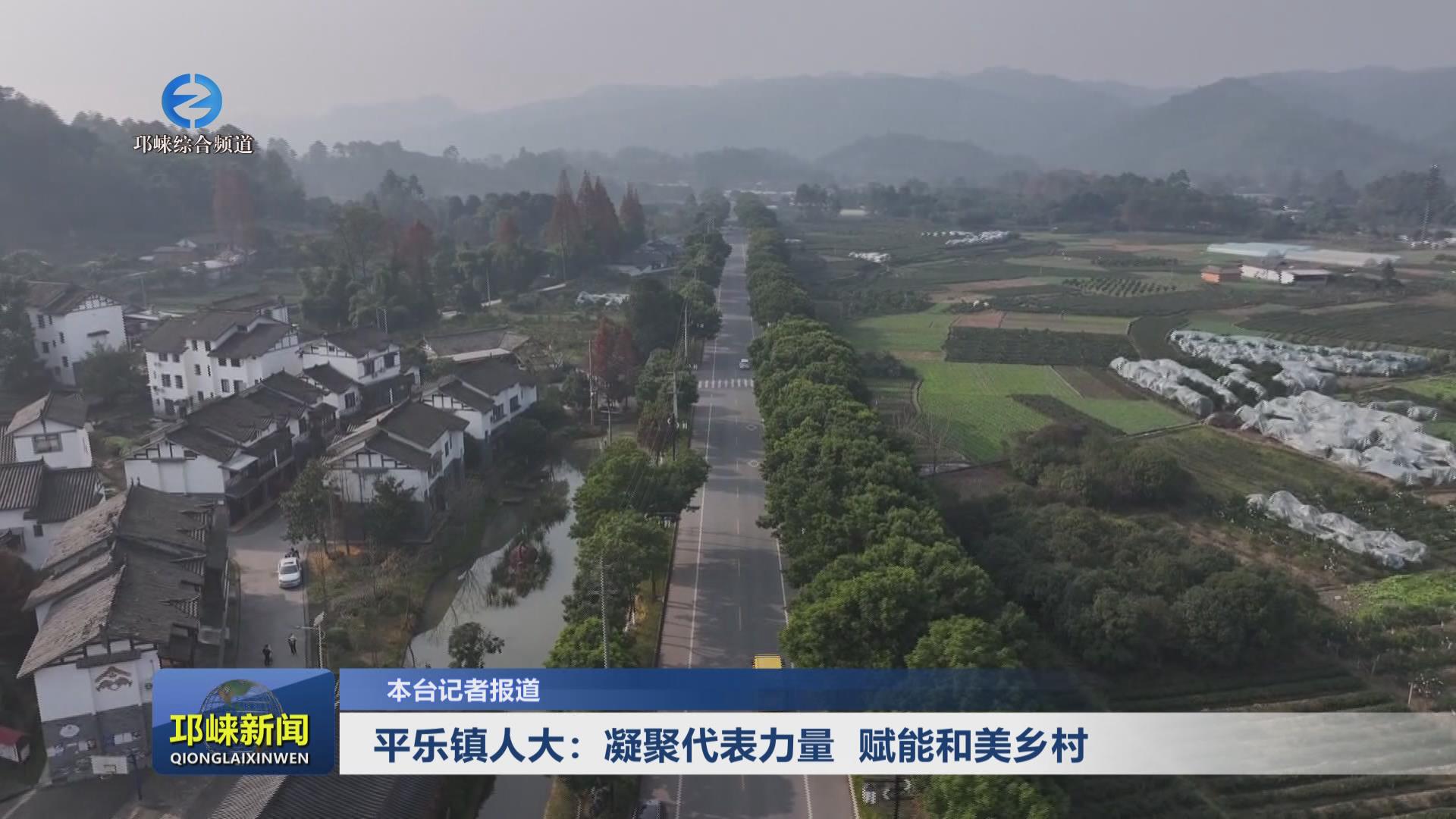 【20250106】平乐镇人大：凝