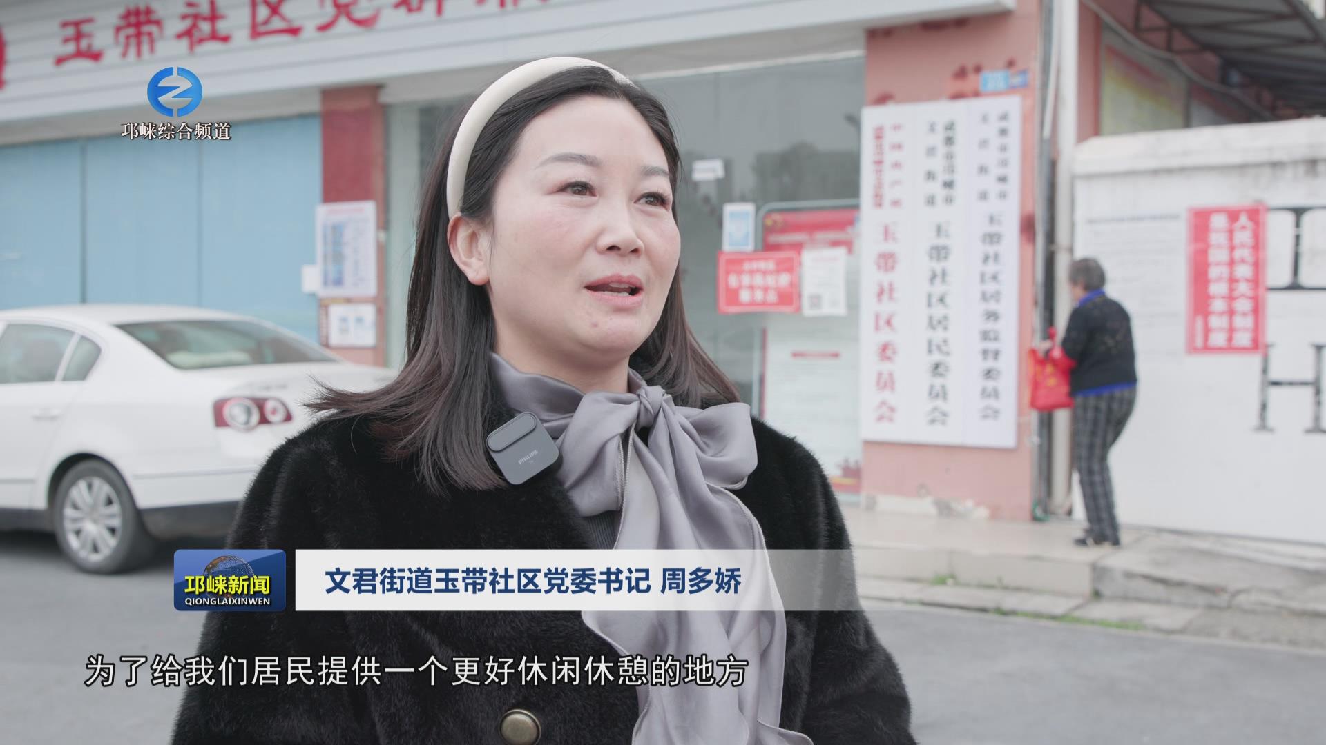 【20250107】我给“两会”捎