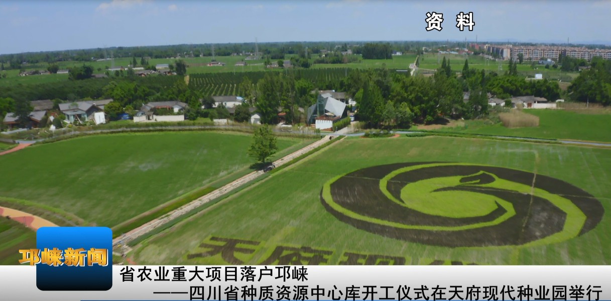 【20201231】省农业重大项目