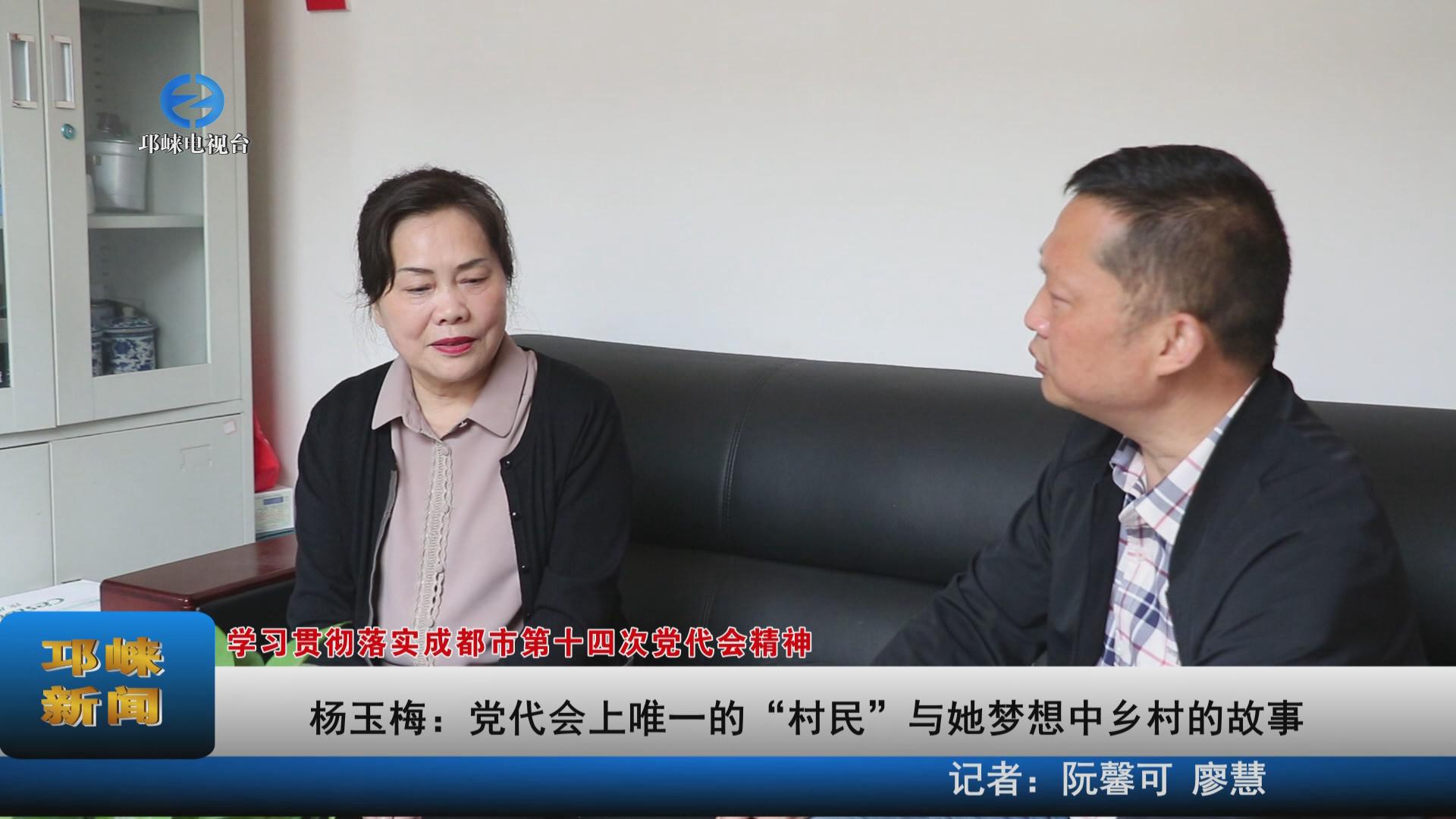 【20220517】杨玉梅：党代会