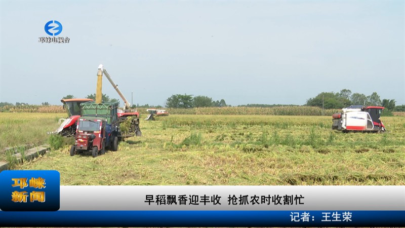 【20220824】早稻飘香迎丰收