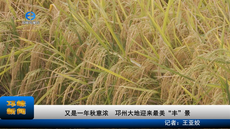 【20220921】又是一年秋意浓