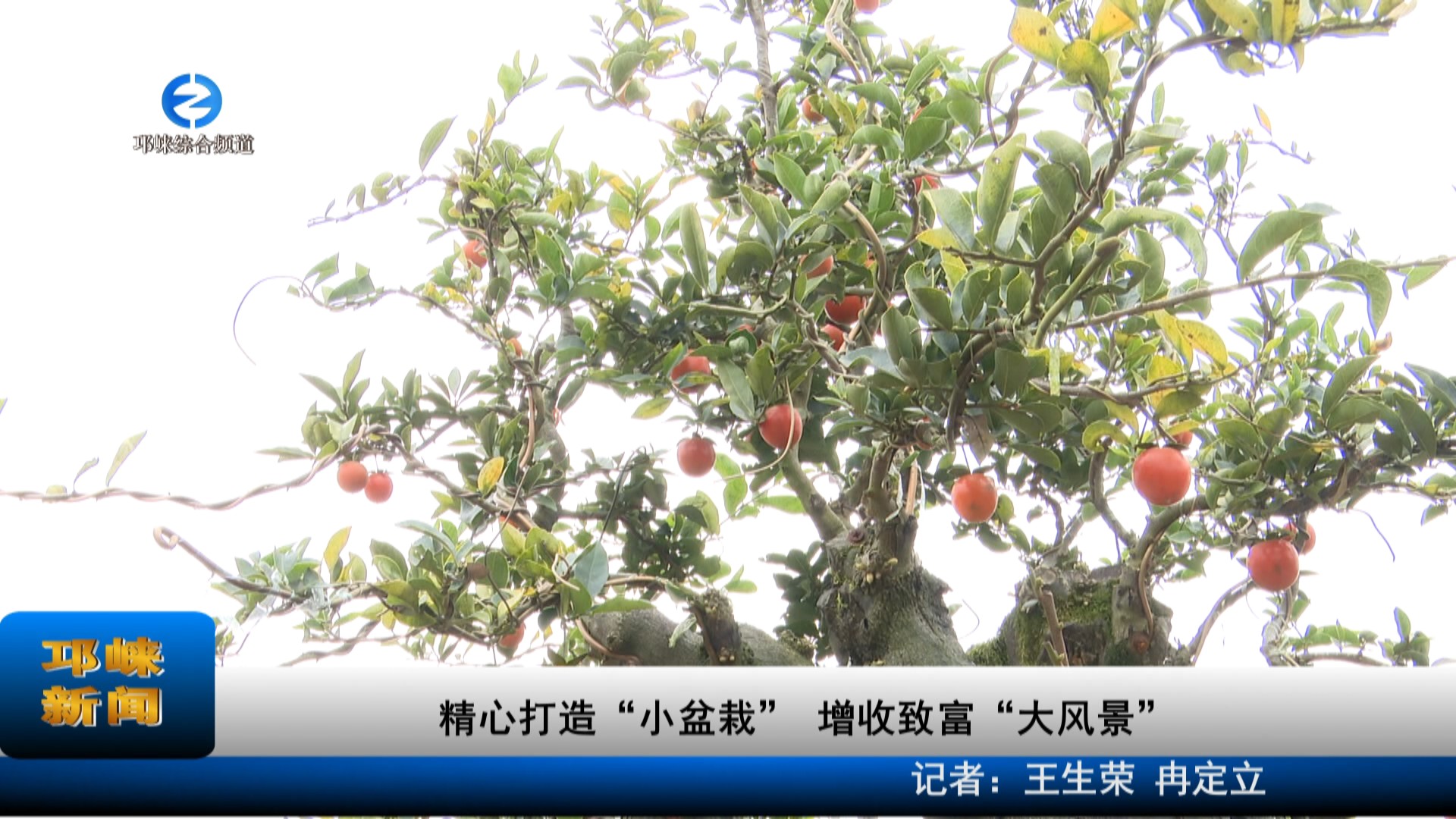【20221207】精心打造“小盆