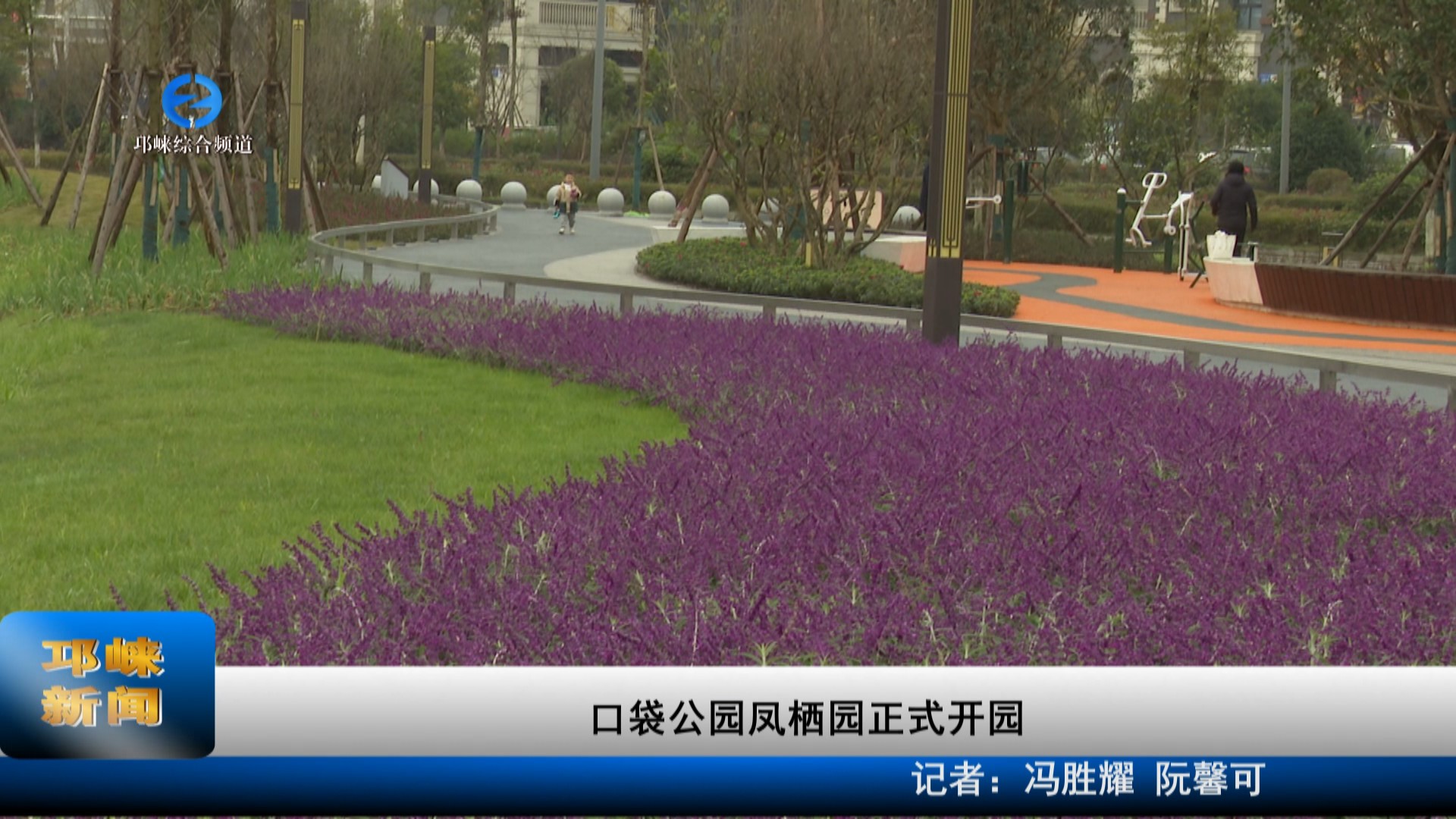 【20221212】口袋公园凤栖园