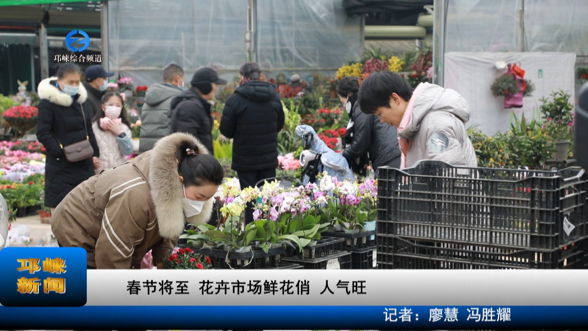【20230117】春节将至 花卉