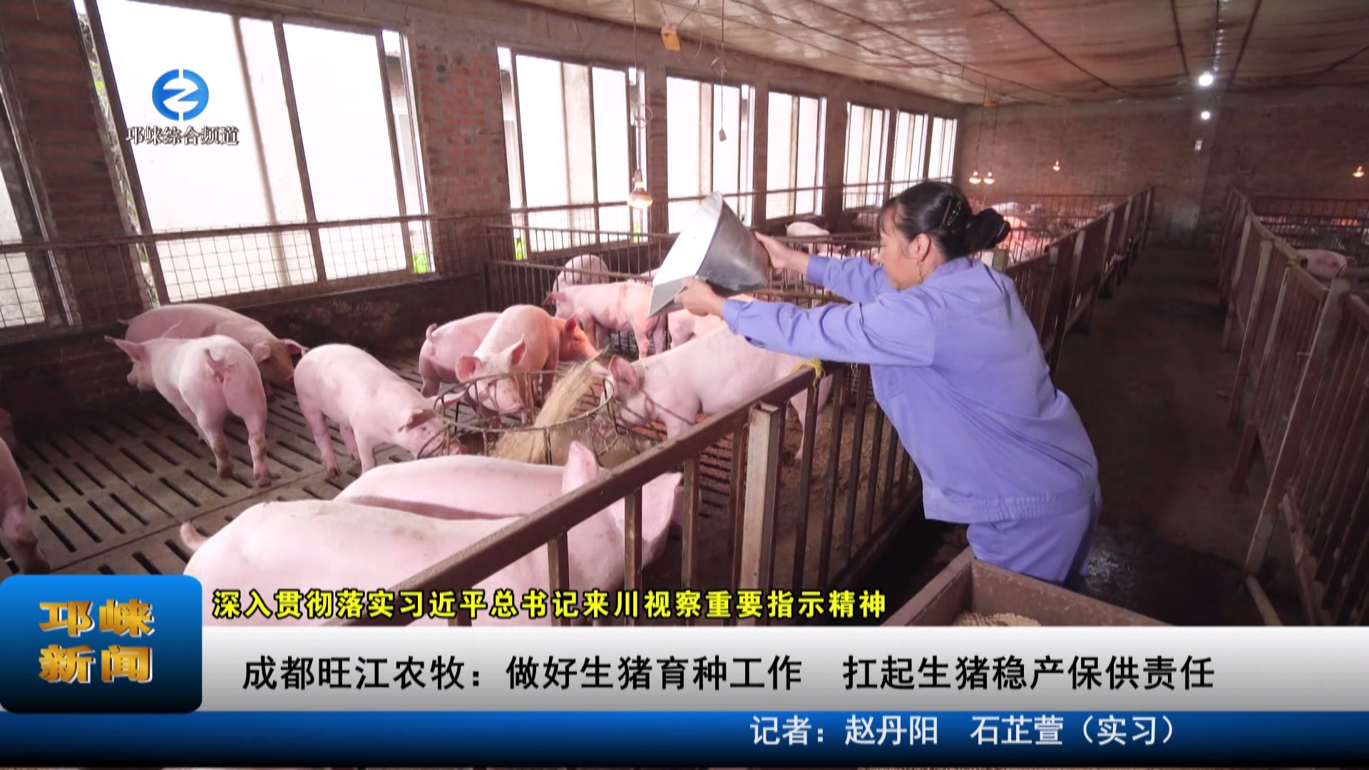 【20230807】成都旺江农牧：