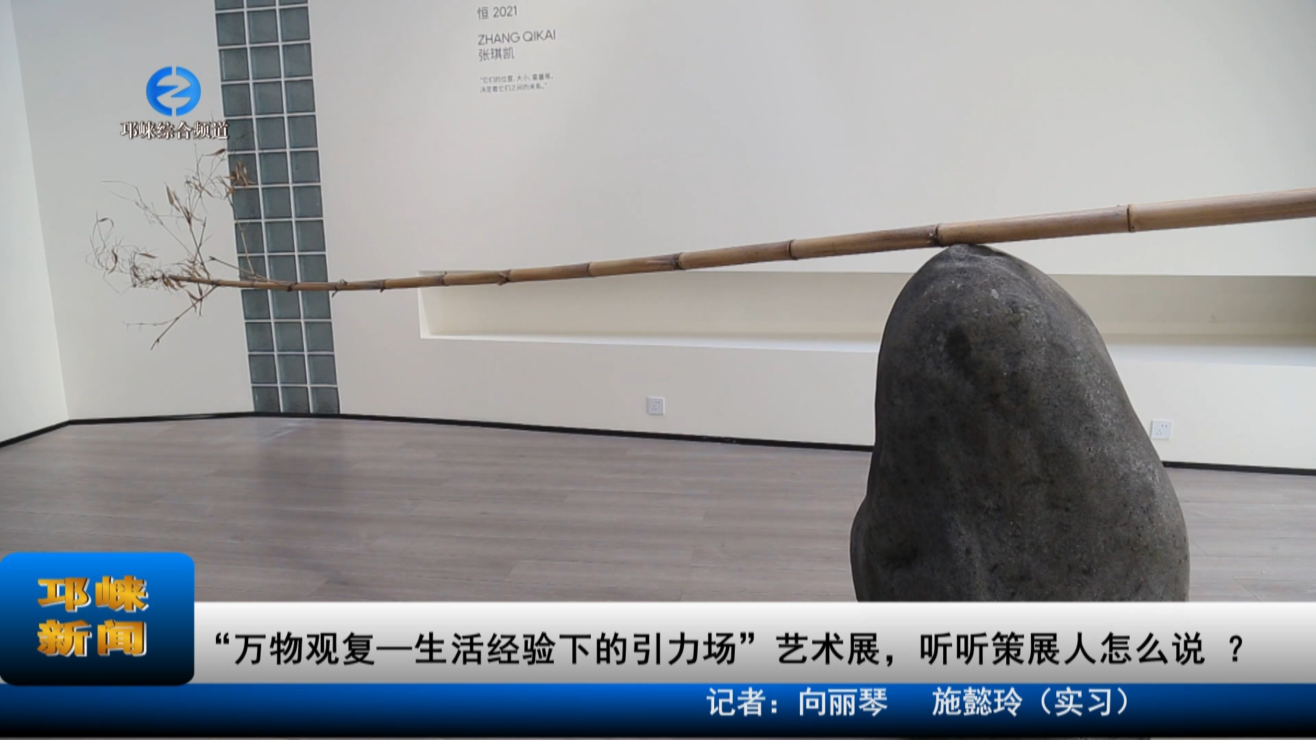 【20230823】“万物观复—生