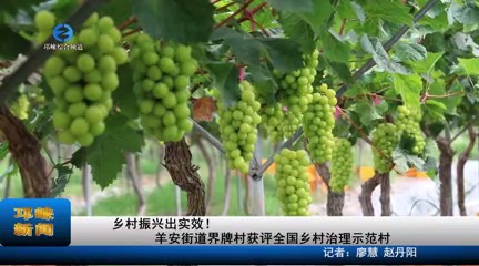 【20230921】乡村振兴出实效