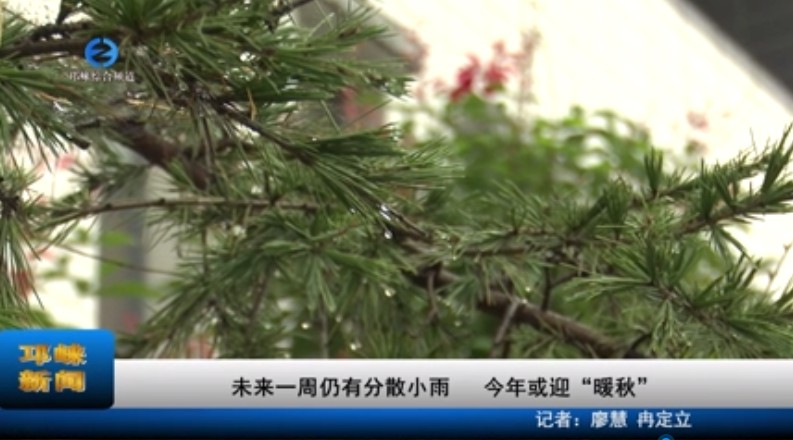 【20231009】未来一周仍有分