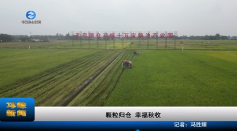 【20231009】颗粒归仓 幸福