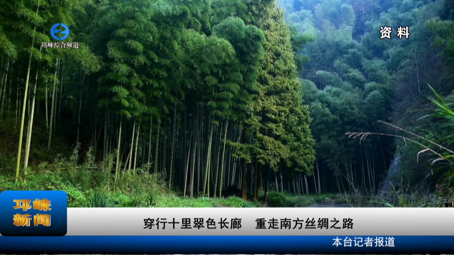 【20231026】穿行十里翠色长