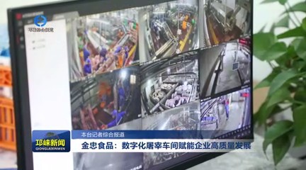 【20231220】金忠食品：数字