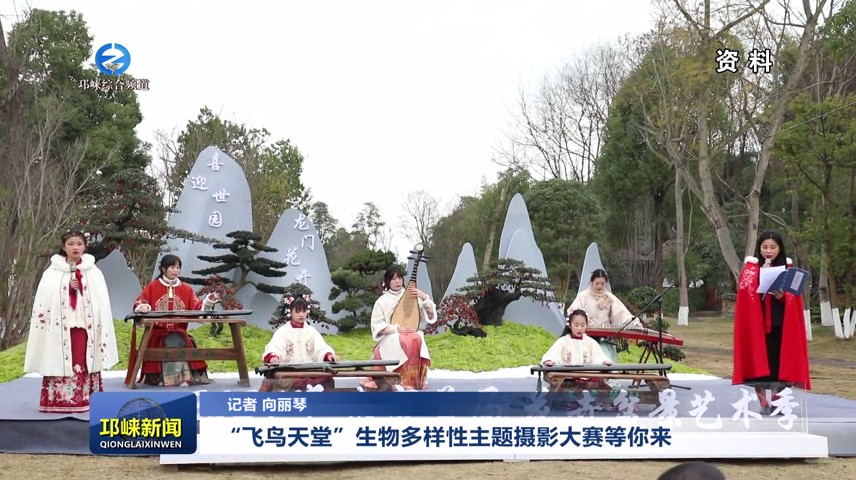 【20240222】“飞鸟天堂”生