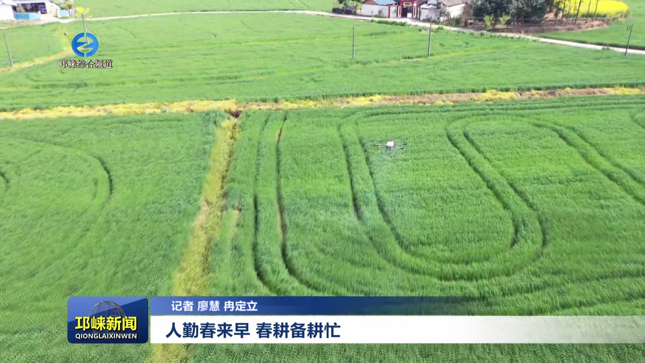 【20240315】人勤春来早 春