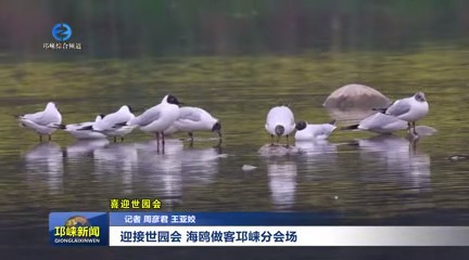 【20240319】迎接世园会 海