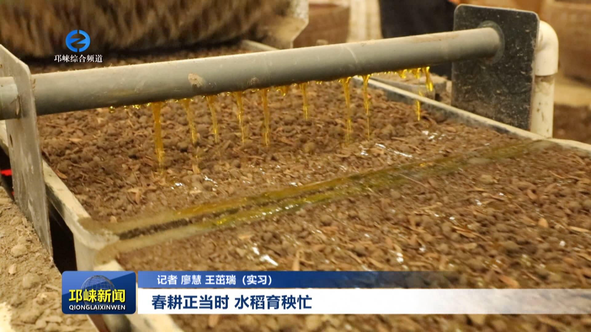 【20240320】春耕正当时 水