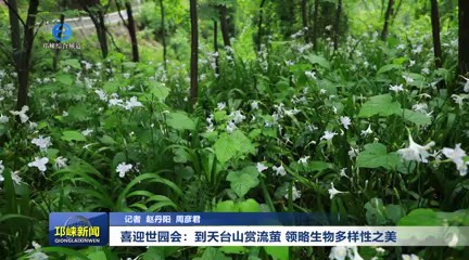 【20240418】喜迎世园会：到