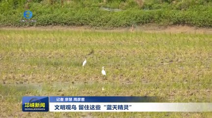 【20240524】文明观鸟 留住