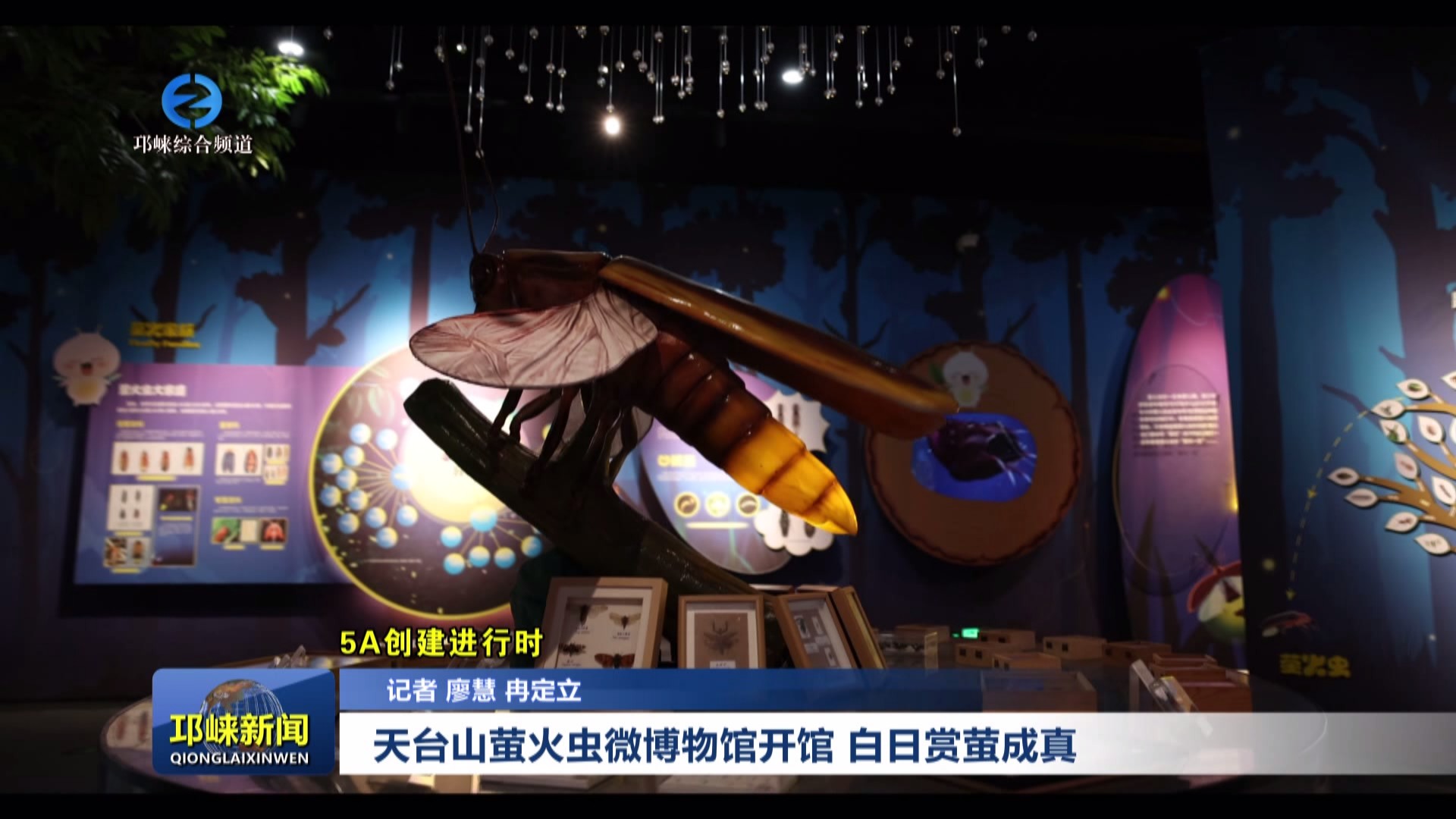 【20240729】天台山萤火虫微