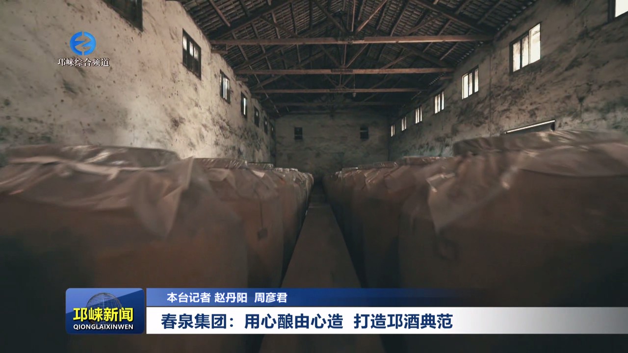 【20240801】春泉集团：用心