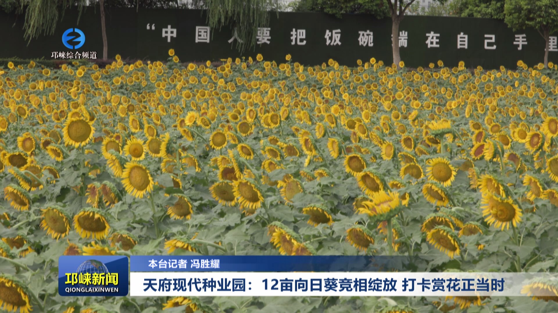 【20240905】天府现代种业园