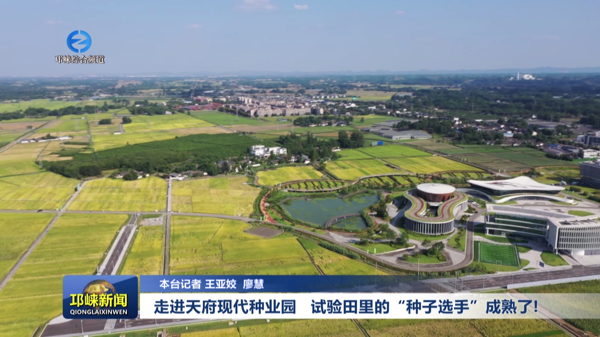 【20240918】走进天府现代种