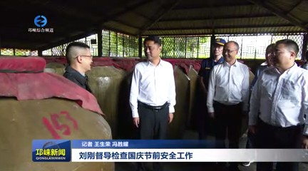 【20240930】刘刚督导检查国