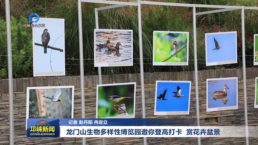 【20241008】龙门山生物多样
