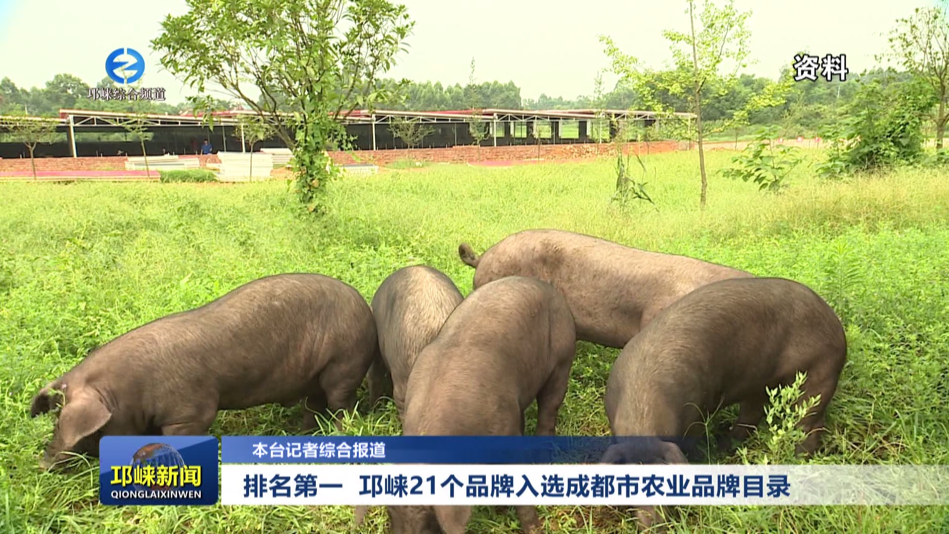 【20241010】排名第一 邛崃