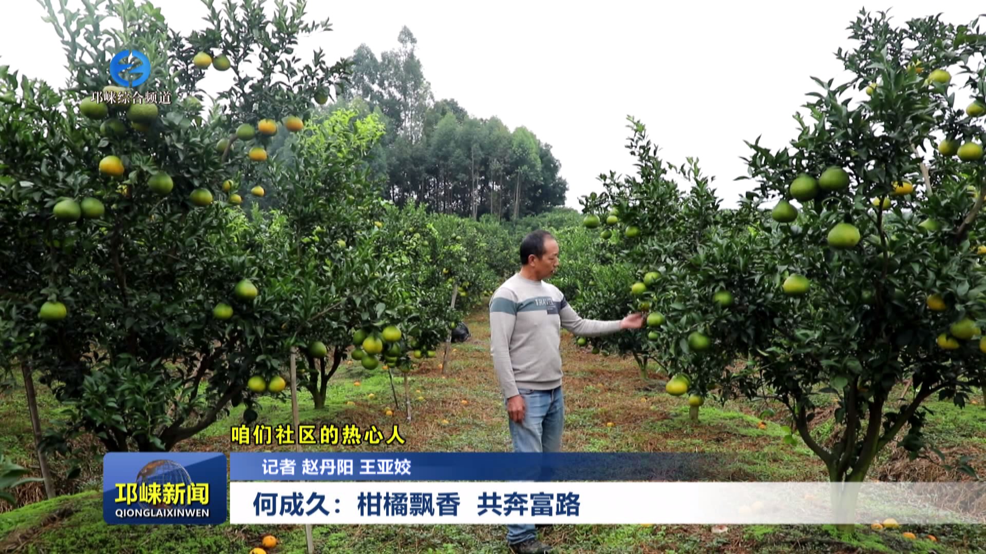 【20241018】“咱们社区的热