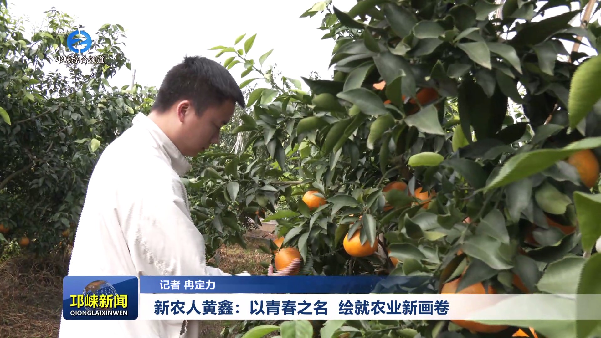 【20241104】新农人黄鑫：以