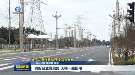 【20241119】铺好企业发展路