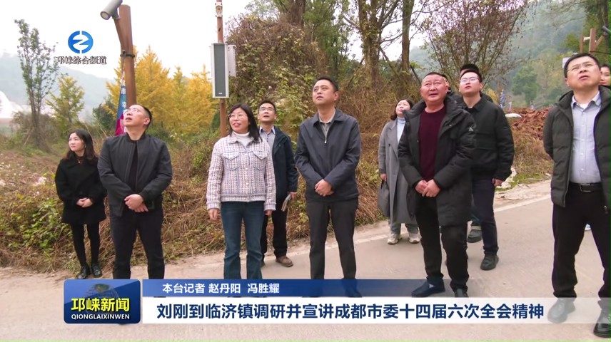 【20241203】刘刚到临济镇调