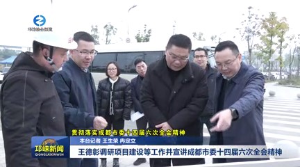 【20241204】王德彰调研项目